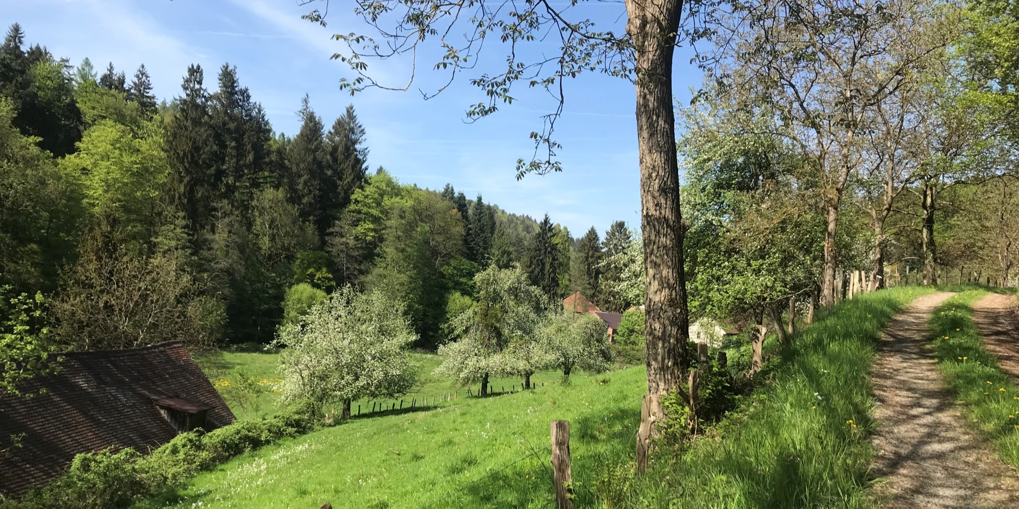 Headerbild Umgebung